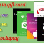 Buy a gift card with Revolupay Buying a Netflix card.